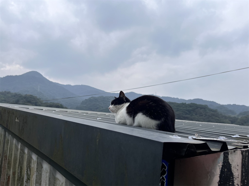 f:id:midoriiro2:20240219195121j:image