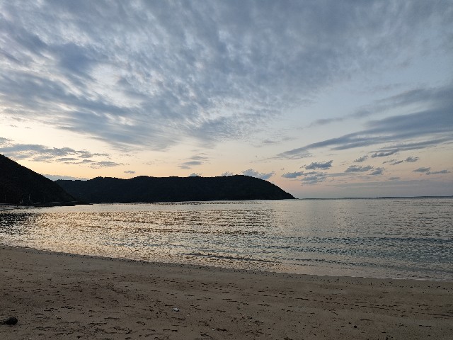 f:id:midoriiro2:20250205214859j:image
