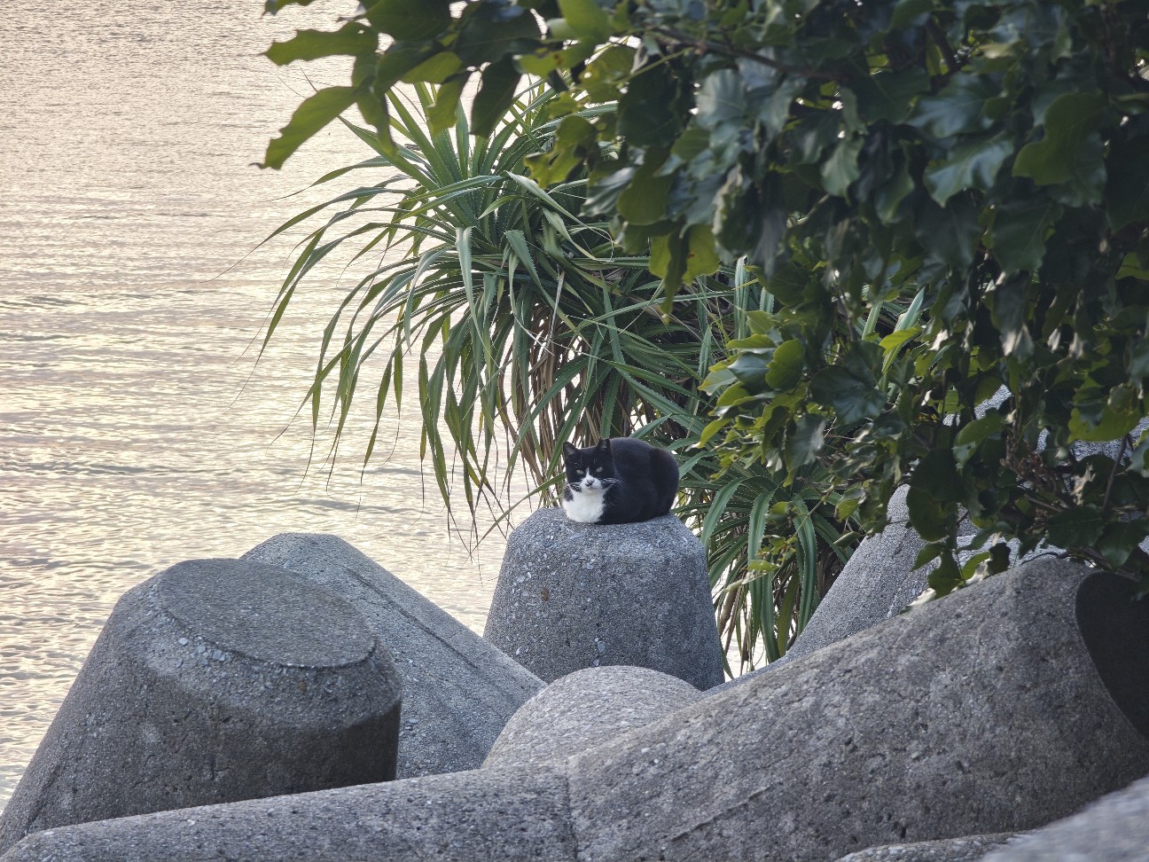 f:id:midoriiro2:20260211162850j:image f:id:midoriiro2:20260211162850j:image