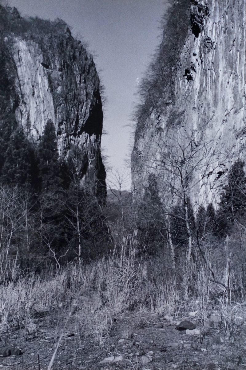 f:id:midoriiruka:20211004030839j:plain