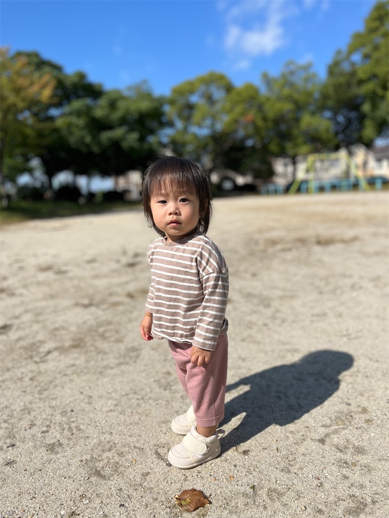 f:id:midorijuku_sugi:20231020235509j:image