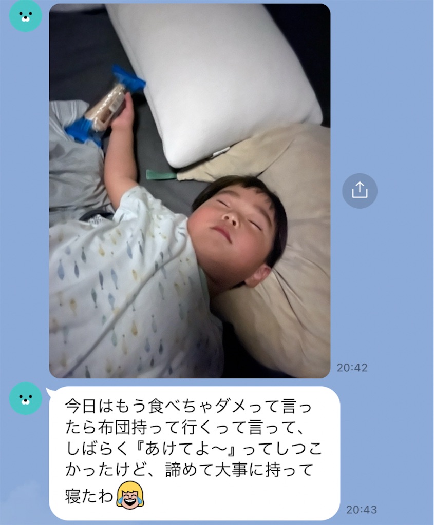 f:id:midorijuku_sugi:20240728000917j:image