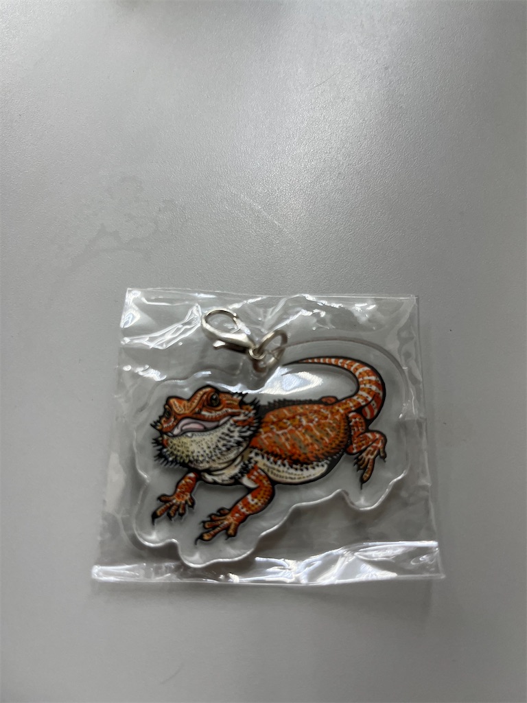 f:id:midorijuku_sugi:20241002225005j:image