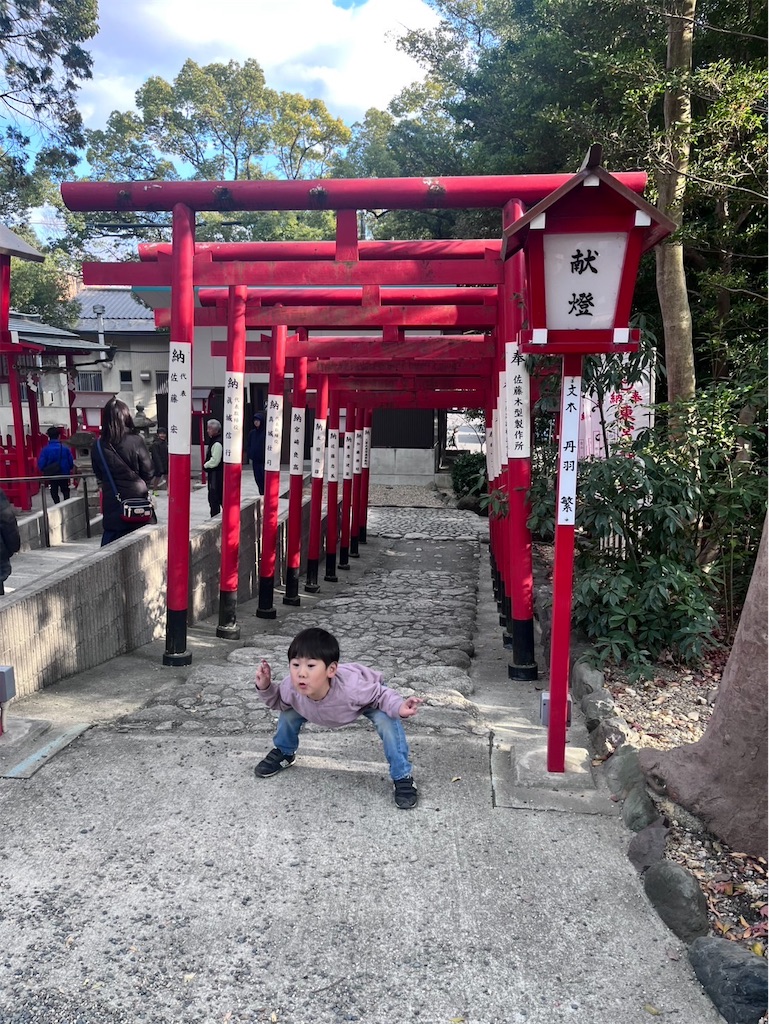 f:id:midorijuku_sugi:20250106104525j:image