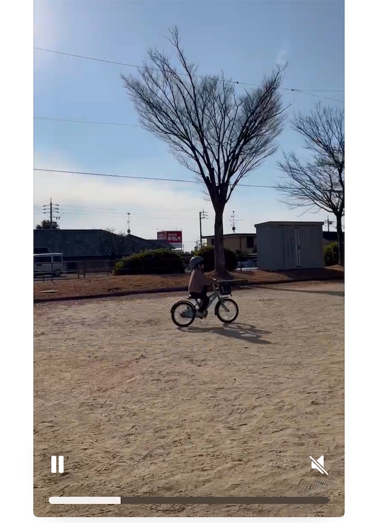 f:id:midorijuku_sugi:20250106104608j:image