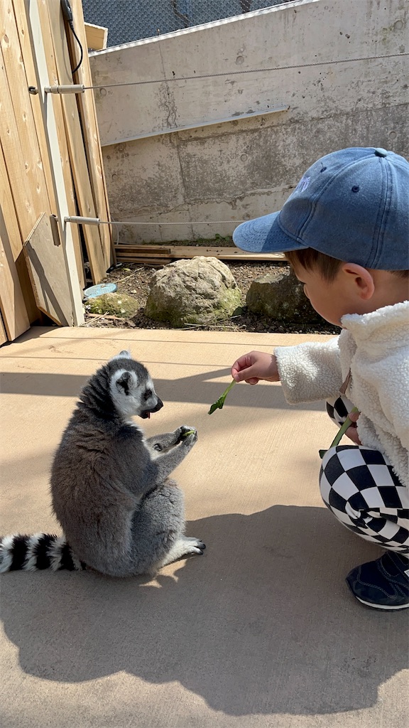 f:id:midorijuku_sugi:20250322223332j:image