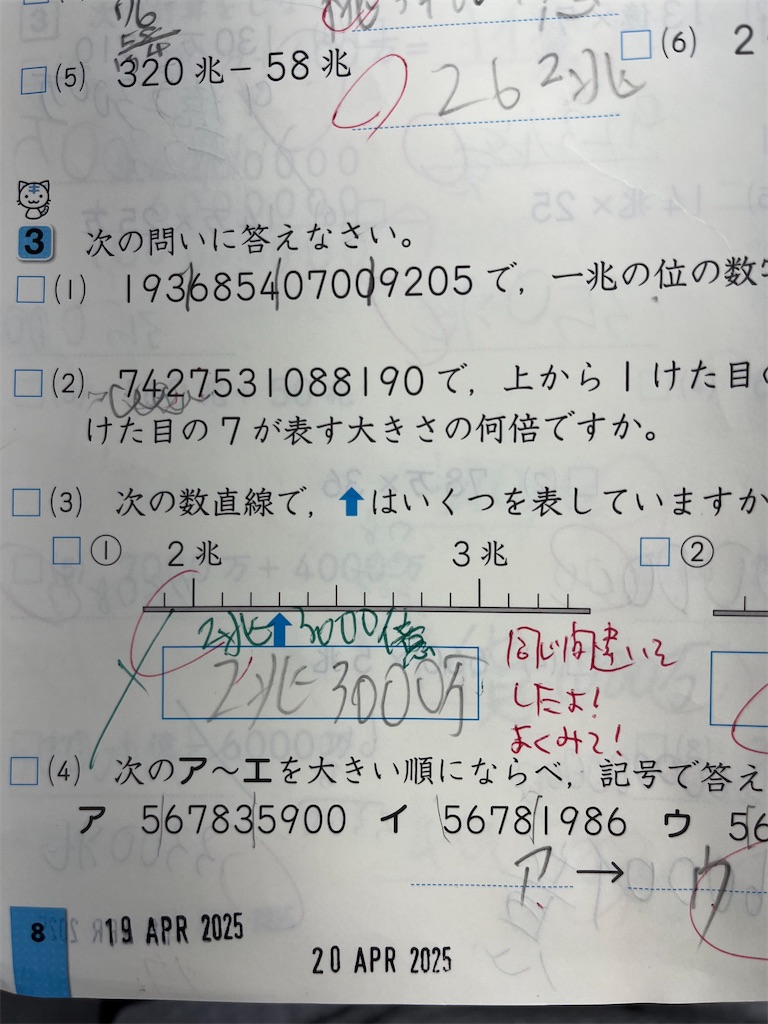 f:id:midorijuku_sugi:20250424102822j:image