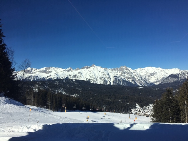 f:id:midorikko:20190223190538j:plain