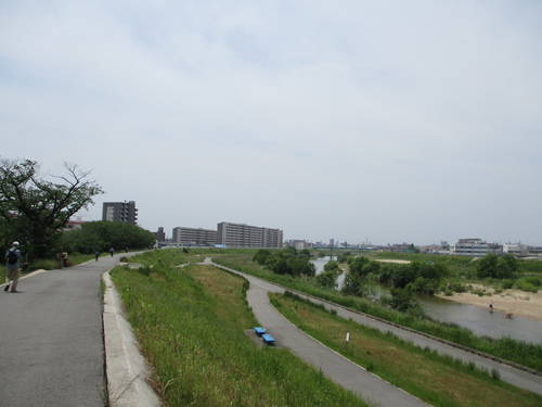 f:id:midorineko_cutter_mat:20190528112213j:plain