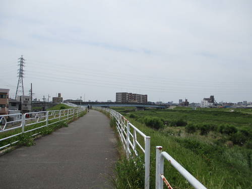 f:id:midorineko_cutter_mat:20190528112215j:plain
