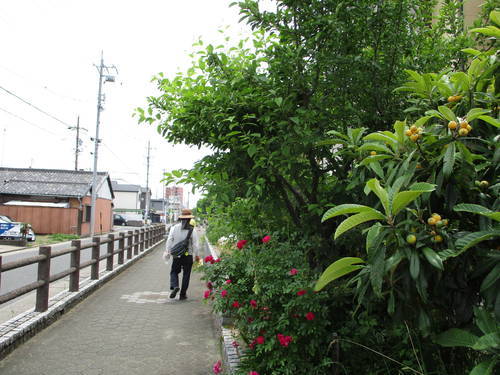 f:id:midorineko_cutter_mat:20190528112221j:plain