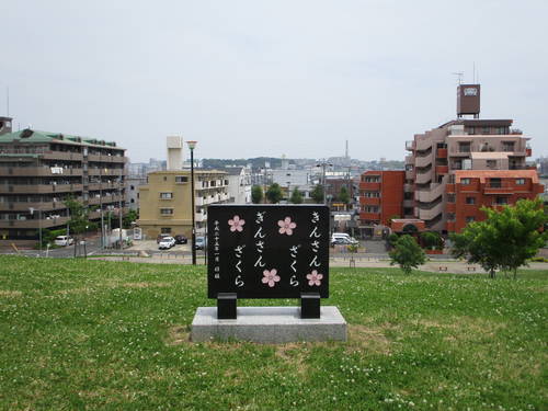 f:id:midorineko_cutter_mat:20190528145514j:plain