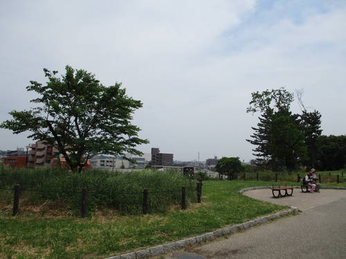 f:id:midorineko_cutter_mat:20190528145515j:plain
