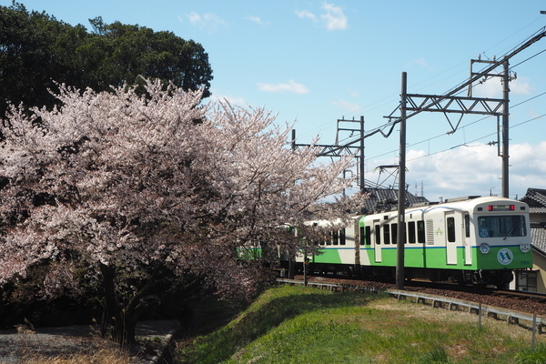 f:id:midorineko_cutter_mat:20190608113657j:plain f:id:midorineko_cutter_mat:20190608113657j:plain