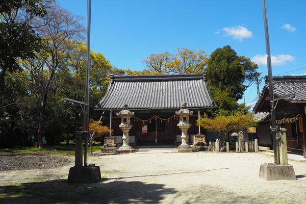 f:id:midorineko_cutter_mat:20190608114645j:plain f:id:midorineko_cutter_mat:20190608114645j:plain