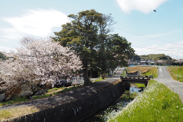 f:id:midorineko_cutter_mat:20190608135529j:plain f:id:midorineko_cutter_mat:20190608135529j:plain