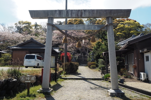 f:id:midorineko_cutter_mat:20190608135731j:plain f:id:midorineko_cutter_mat:20190608135731j:plain