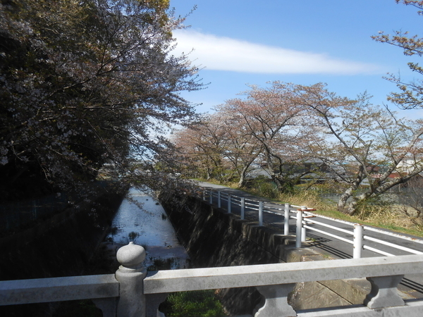f:id:midorineko_cutter_mat:20190608140130j:plain f:id:midorineko_cutter_mat:20190608140130j:plain