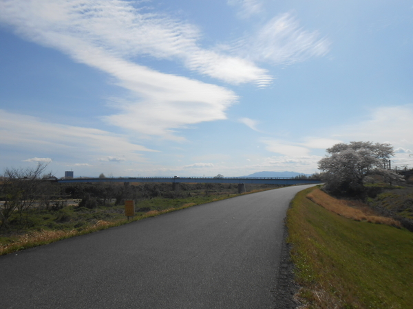 f:id:midorineko_cutter_mat:20190608141424j:plain f:id:midorineko_cutter_mat:20190608141424j:plain