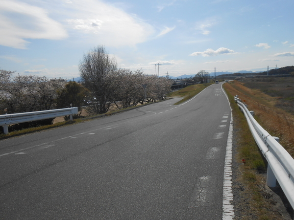 f:id:midorineko_cutter_mat:20190608141512j:plain f:id:midorineko_cutter_mat:20190608141512j:plain