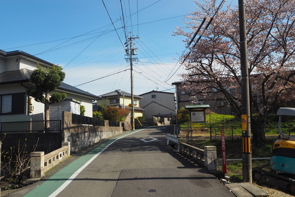 f:id:midorineko_cutter_mat:20190608142246j:plain f:id:midorineko_cutter_mat:20190608142246j:plain