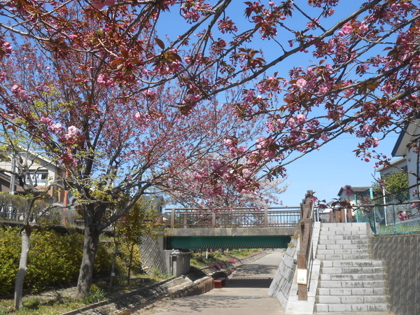 f:id:midorineko_cutter_mat:20190608182238j:plain