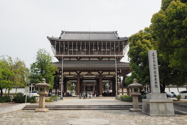f:id:midorineko_cutter_mat:20190608183912j:plain f:id:midorineko_cutter_mat:20190608183912j:plain