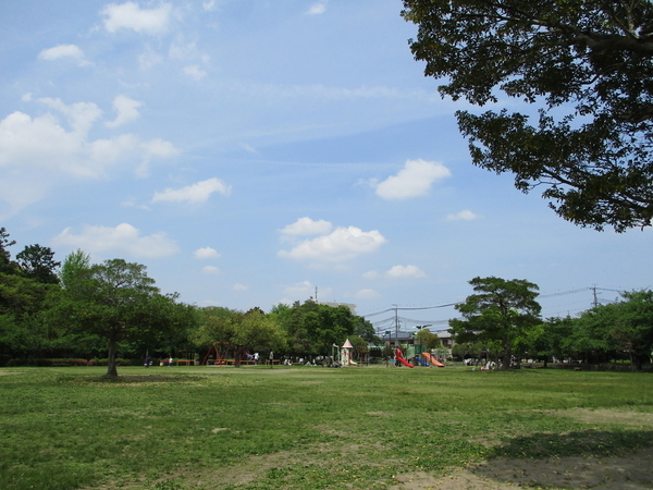 f:id:midorineko_cutter_mat:20190608224304j:plain