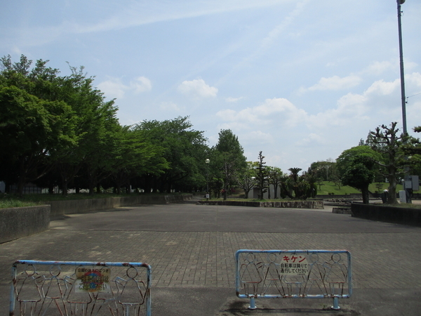 f:id:midorineko_cutter_mat:20190608225705j:plain