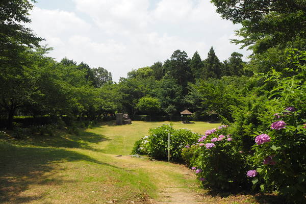 f:id:midorineko_cutter_mat:20190626154746j:plain
