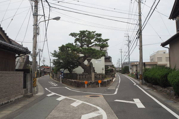 f:id:midorineko_cutter_mat:20190902115058j:plain f:id:midorineko_cutter_mat:20190902115058j:plain