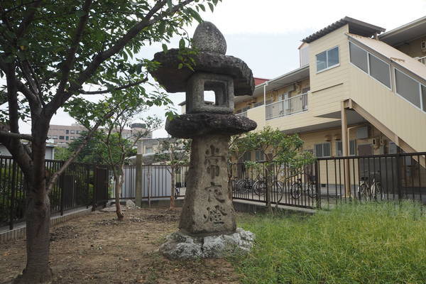 f:id:midorineko_cutter_mat:20190902124533j:plain f:id:midorineko_cutter_mat:20190902124533j:plain