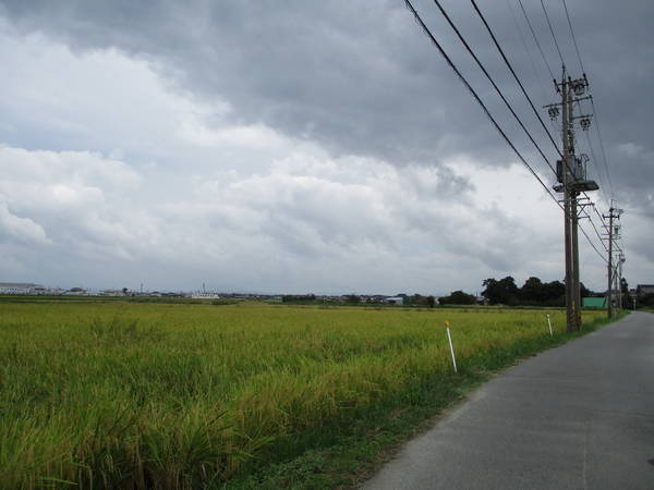 f:id:midorineko_cutter_mat:20191002113719j:plain f:id:midorineko_cutter_mat:20191002113719j:plain