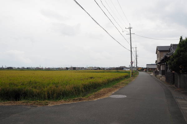 f:id:midorineko_cutter_mat:20191002214143j:plain f:id:midorineko_cutter_mat:20191002214143j:plain