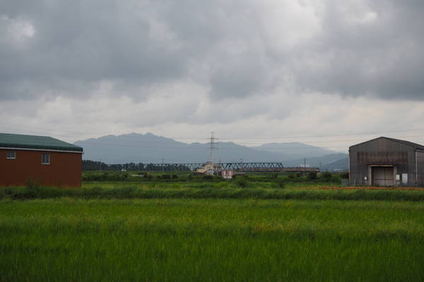 f:id:midorineko_cutter_mat:20191002214800j:plain f:id:midorineko_cutter_mat:20191002214800j:plain