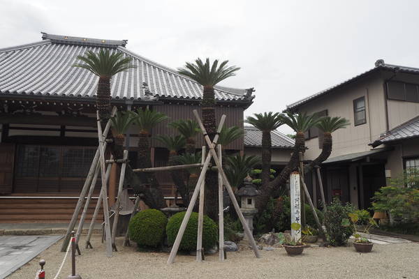 f:id:midorineko_cutter_mat:20191002224908j:plain f:id:midorineko_cutter_mat:20191002224908j:plain