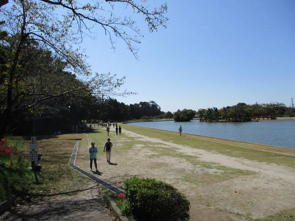 f:id:midorineko_cutter_mat:20191010182021j:plain f:id:midorineko_cutter_mat:20191010182021j:plain