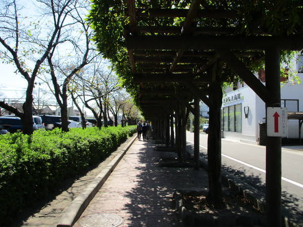 f:id:midorineko_cutter_mat:20191010185049j:plain f:id:midorineko_cutter_mat:20191010185049j:plain