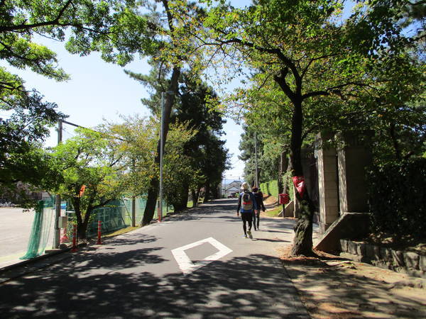 f:id:midorineko_cutter_mat:20191010212952j:plain f:id:midorineko_cutter_mat:20191010212952j:plain