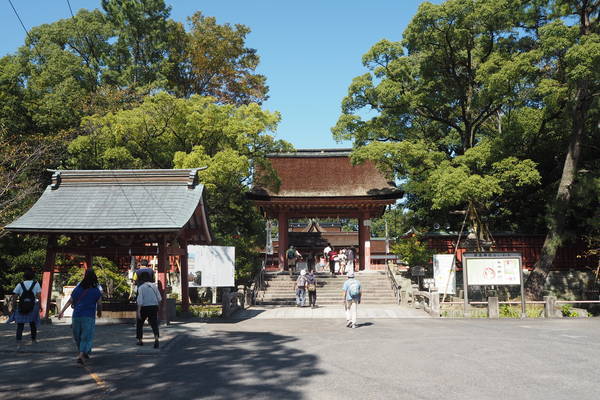 f:id:midorineko_cutter_mat:20191011200904j:plain f:id:midorineko_cutter_mat:20191011200904j:plain