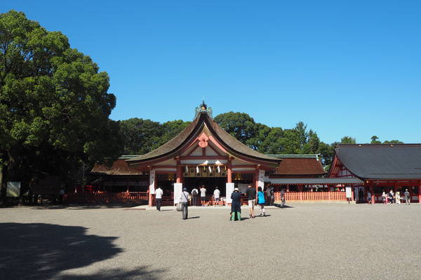 f:id:midorineko_cutter_mat:20191011201053j:plain f:id:midorineko_cutter_mat:20191011201053j:plain