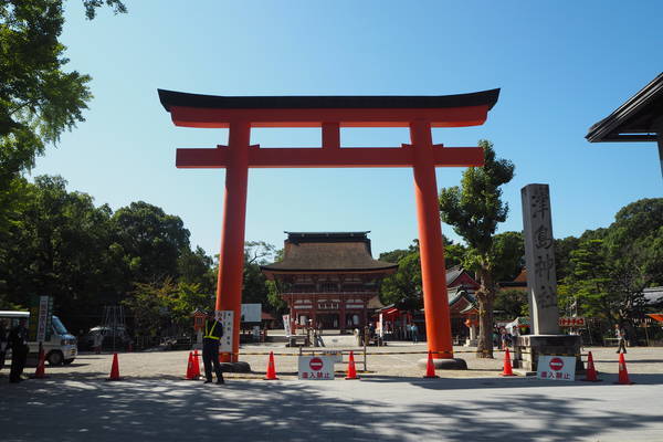 f:id:midorineko_cutter_mat:20191011201206j:plain f:id:midorineko_cutter_mat:20191011201206j:plain