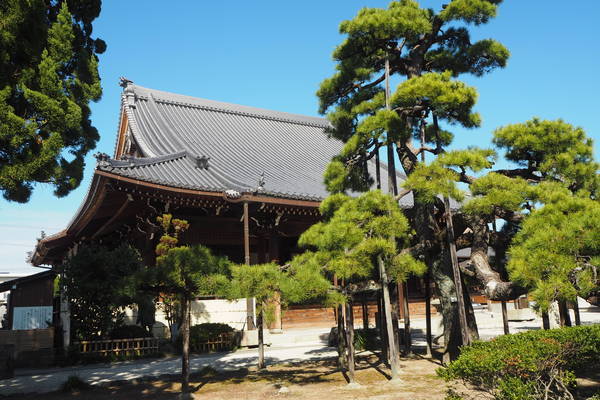 f:id:midorineko_cutter_mat:20191011204536j:plain f:id:midorineko_cutter_mat:20191011204536j:plain