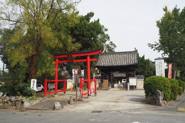 f:id:midorineko_cutter_mat:20191028112653j:plain f:id:midorineko_cutter_mat:20191028112653j:plain