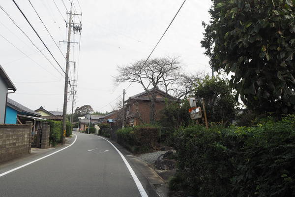 f:id:midorineko_cutter_mat:20191028220052j:plain f:id:midorineko_cutter_mat:20191028220052j:plain