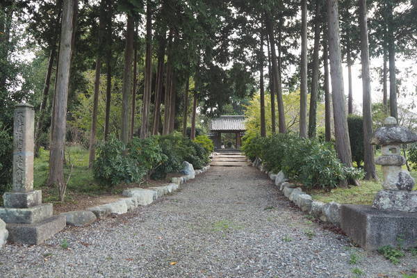 f:id:midorineko_cutter_mat:20191028220113j:plain f:id:midorineko_cutter_mat:20191028220113j:plain