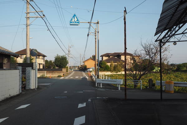 f:id:midorineko_cutter_mat:20191029152428j:plain f:id:midorineko_cutter_mat:20191029152428j:plain