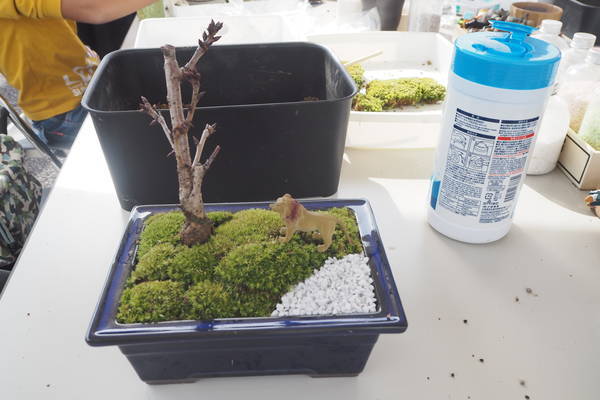 f:id:midorineko_cutter_mat:20191103105136j:plain f:id:midorineko_cutter_mat:20191103105136j:plain