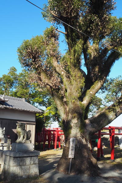 f:id:midorineko_cutter_mat:20191105230041j:plain