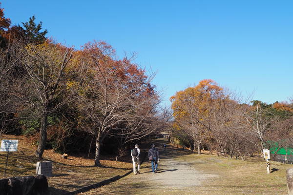 f:id:midorineko_cutter_mat:20191215235331j:plain